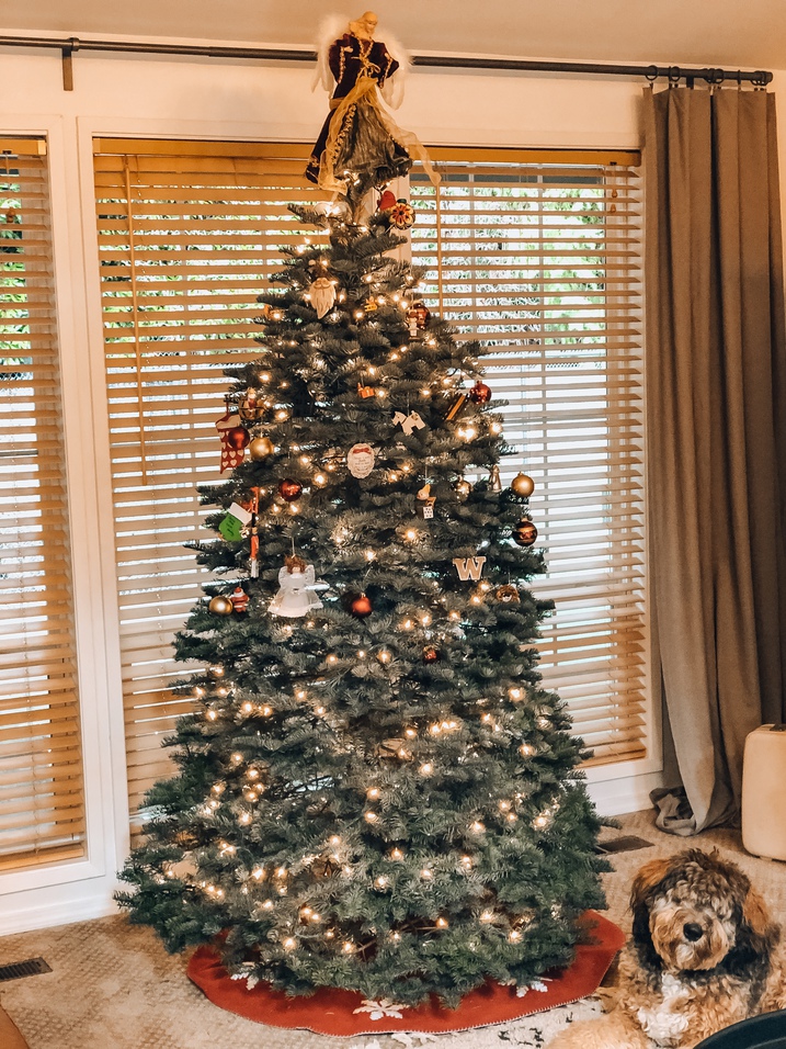 orange cat in christmas tree