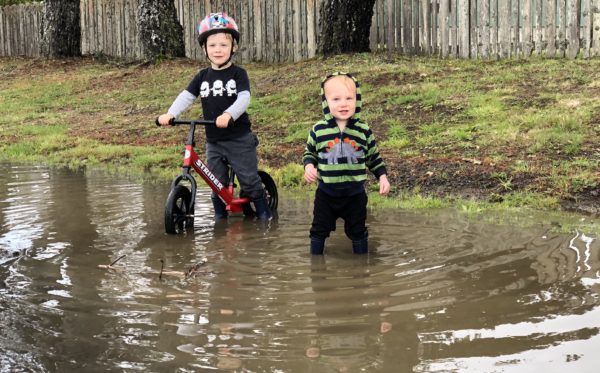 toddler boys in large puddle with strider bike