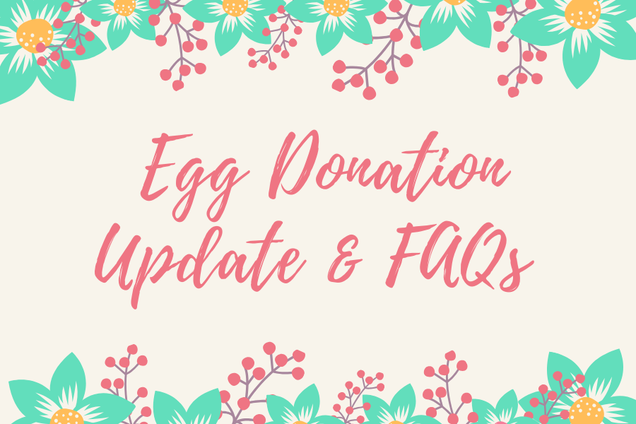 egg donation update and frequently asked questions